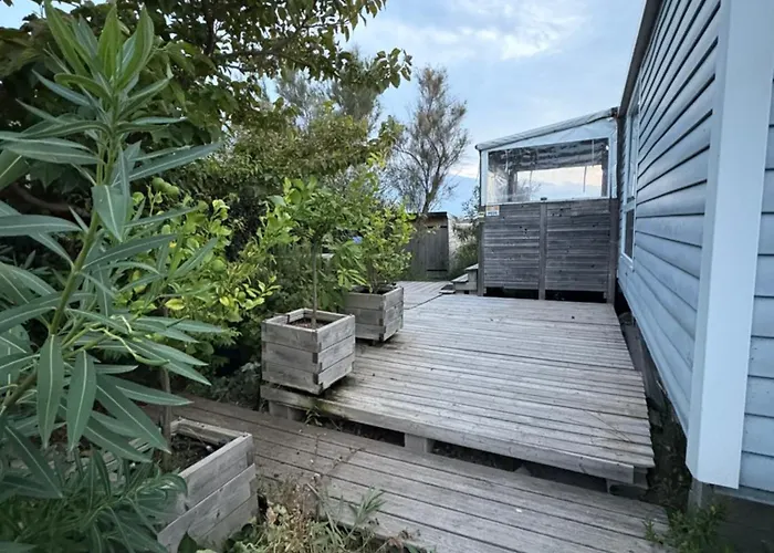 Un Coin De Paradis A Les Flots * Palavas-les-Flots